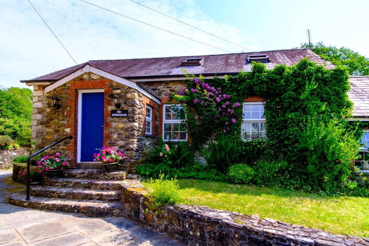 Lakeside Cottage Carmarthen Exteriér fotografie